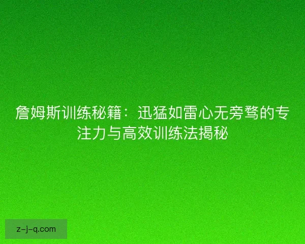 詹姆斯训练秘籍：迅猛如雷心无旁骛的专注力与高效训练法揭秘