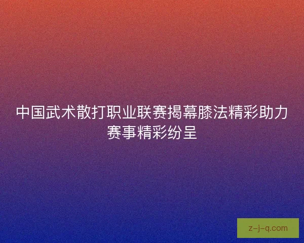 中国武术散打职业联赛揭幕膝法精彩助力赛事精彩纷呈